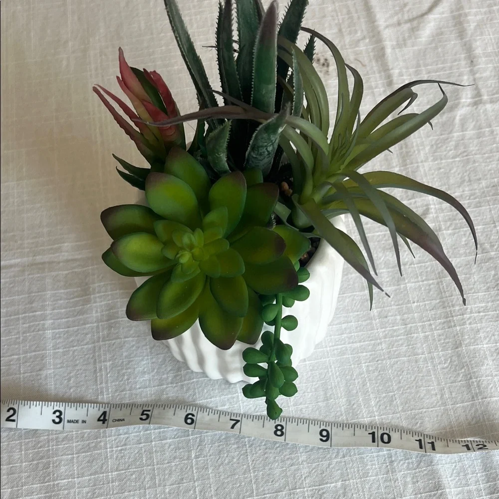 Elegant White Planter with Lush Green and Red Succulents